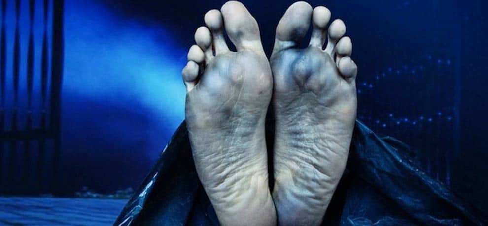 woman back to world after cremation