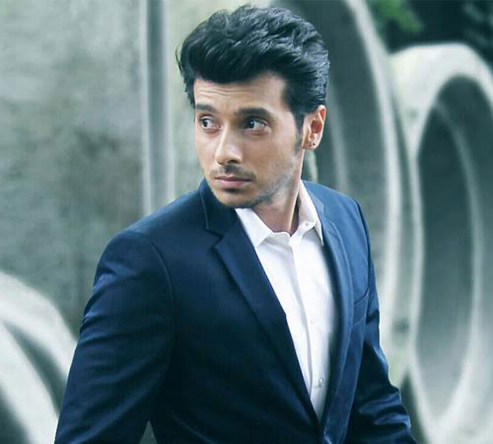 interview of pyar ka punchnama actor