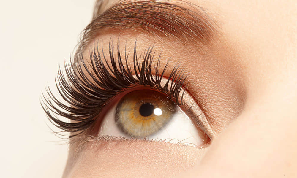 eye cancer may be dangerous for life, treatment in gmch 32 chandigarh