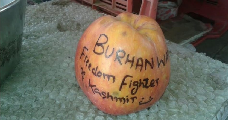 anti india slogans on apple came from kashmir, write that burhan wani freedon fighter of kashmir