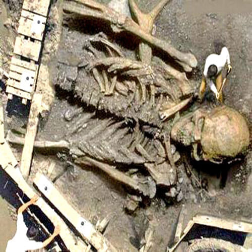 viral truth of 22 feet Giant Ghatotkacha Skeleton 