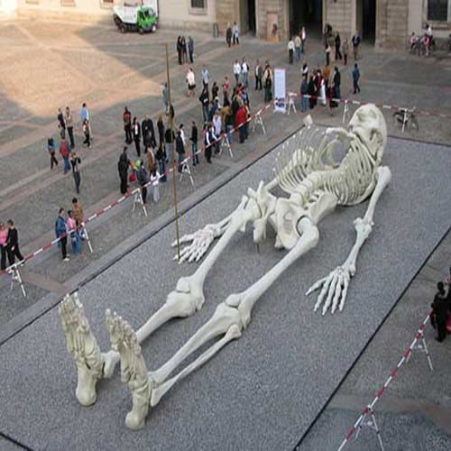 viral truth of 22 feet Giant Ghatotkacha Skeleton 