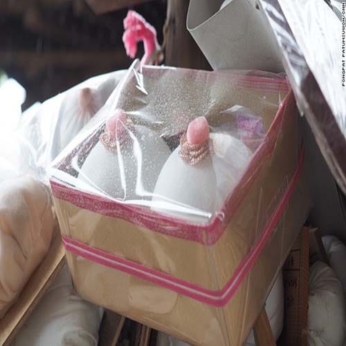 japanese Shrine Dedicated to Women's Breasts