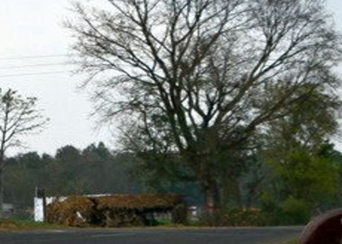 villager feel shame due village name