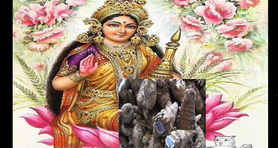 dipawali totke for money improvement