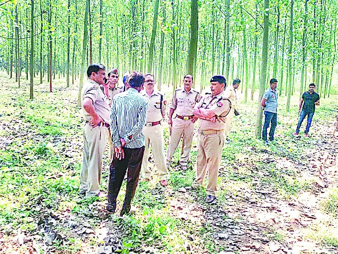 Student murdered bodies burned