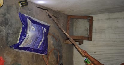 snake entered in mohali house, terror in people till three hours