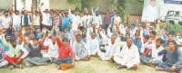 labours strike, mandi, loding rice stop, kaithal