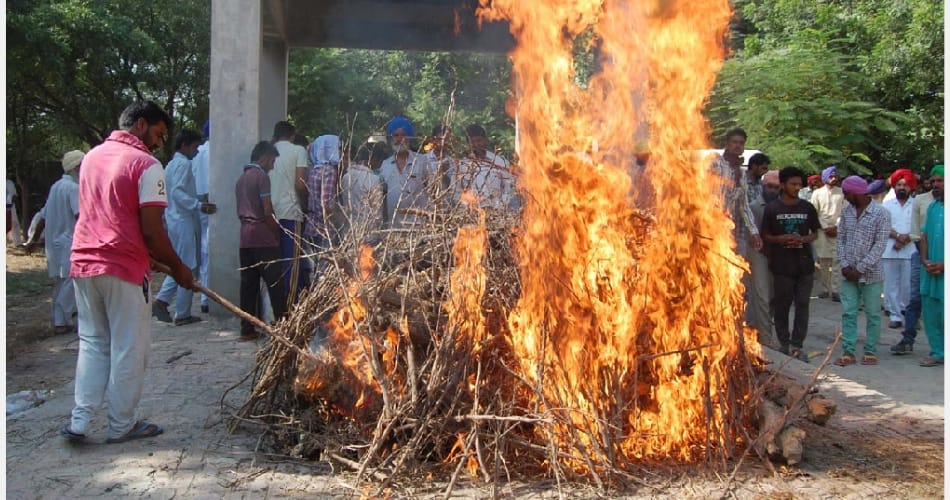 mansa youth murder ,sukhchain's funeral ,the mother cried bitterly