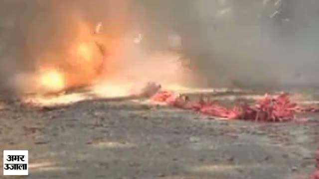 दिल्ली सरकार ने चाइनीज पटाखों किए बैन 