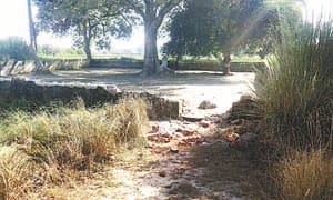 rakswara crime