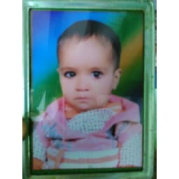6 years child dead, Kg class, under school bus, Jhajjar