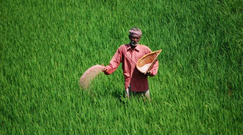 iffco reduced fertilizer prices 