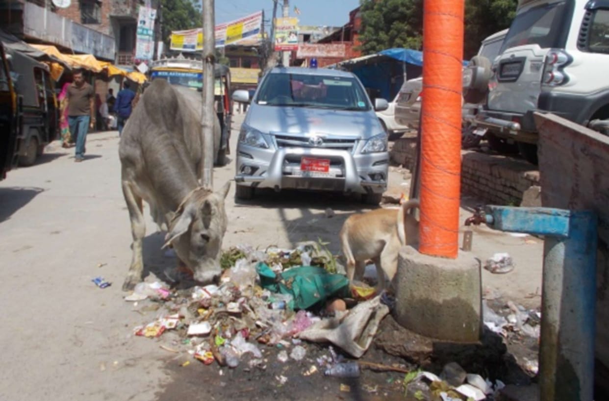 garbage is spreading everywhere in vindhyachal 