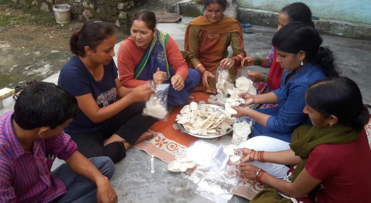 For self-employed women will receive 10 million
