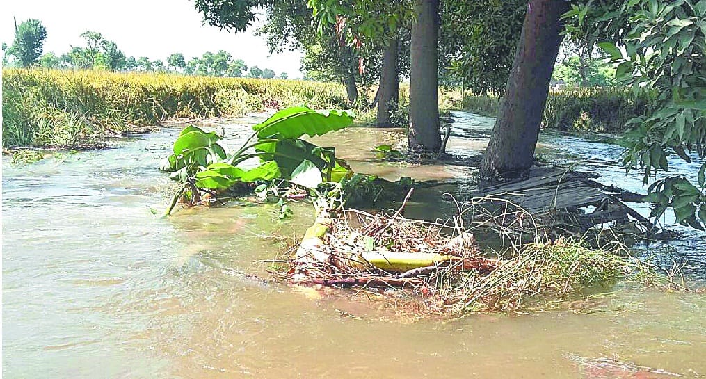 sukhchain canal sirsa, sirsa
