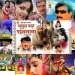 कई भोजपुरी फिल्में कर चुकी हैं करोड़ों का कारोबार
