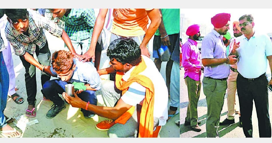 second murder in five days, bull killed a old man