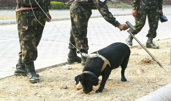 alive bomb found in farms of kambwala in chandigarh