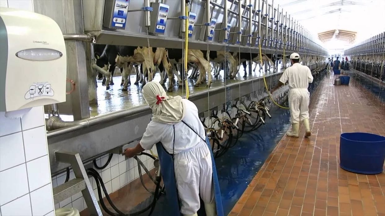Dairy Excellence Center will be built in Basal Una himachal,, robots will look after animals,  MoU signed between India Denmark during pm visit
