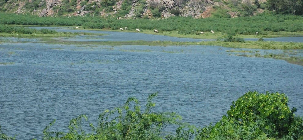 pm modi showing interest in badkhal lake project