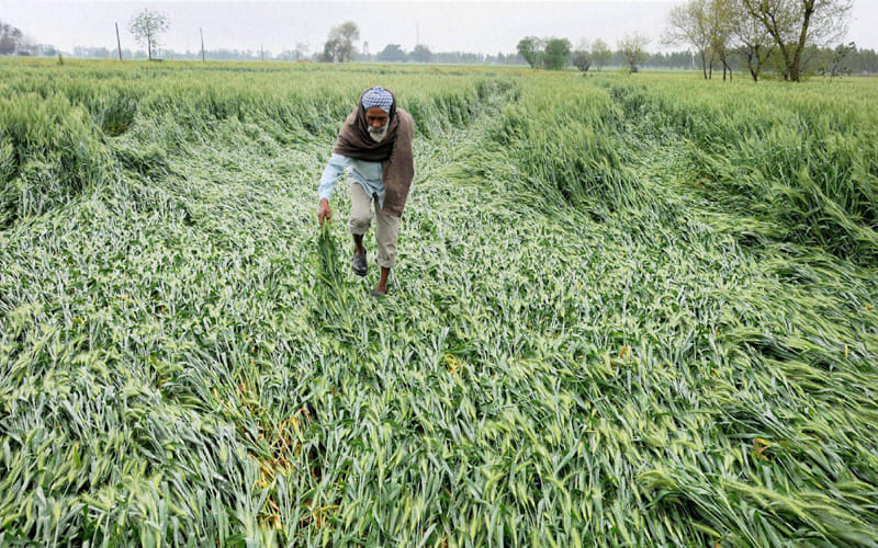 fifty crore seventy nine lakh relief farmers kanpur