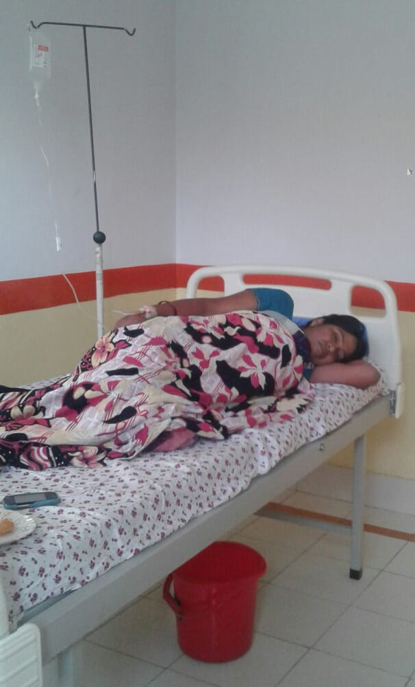 dengue spread out through this new mosquito