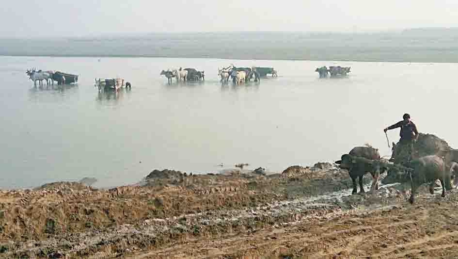 illegal mining