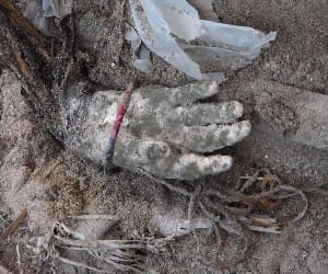 photos of kedarnath disaster