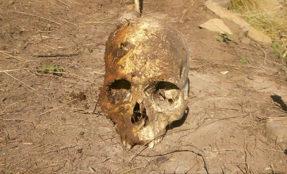 kedarnath disaster 2013 brutal photos