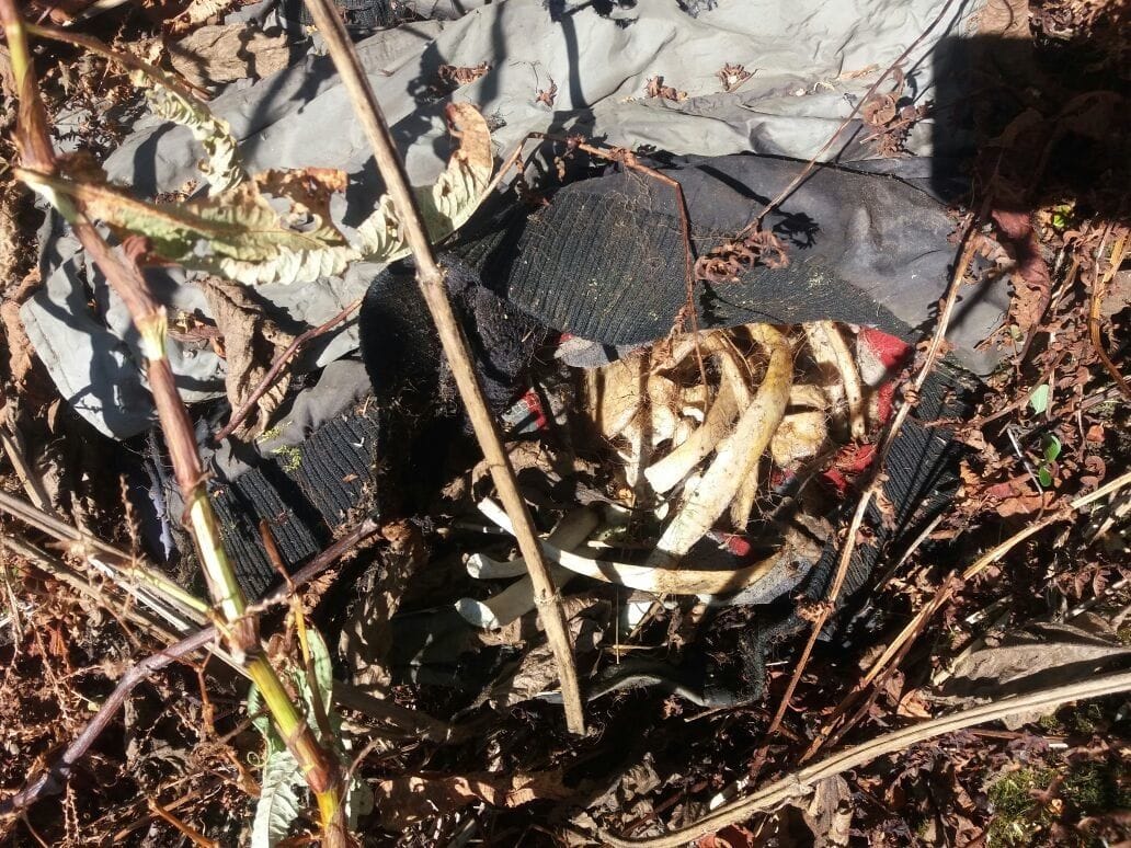 exclusive photos of skeleton found in kedarnath