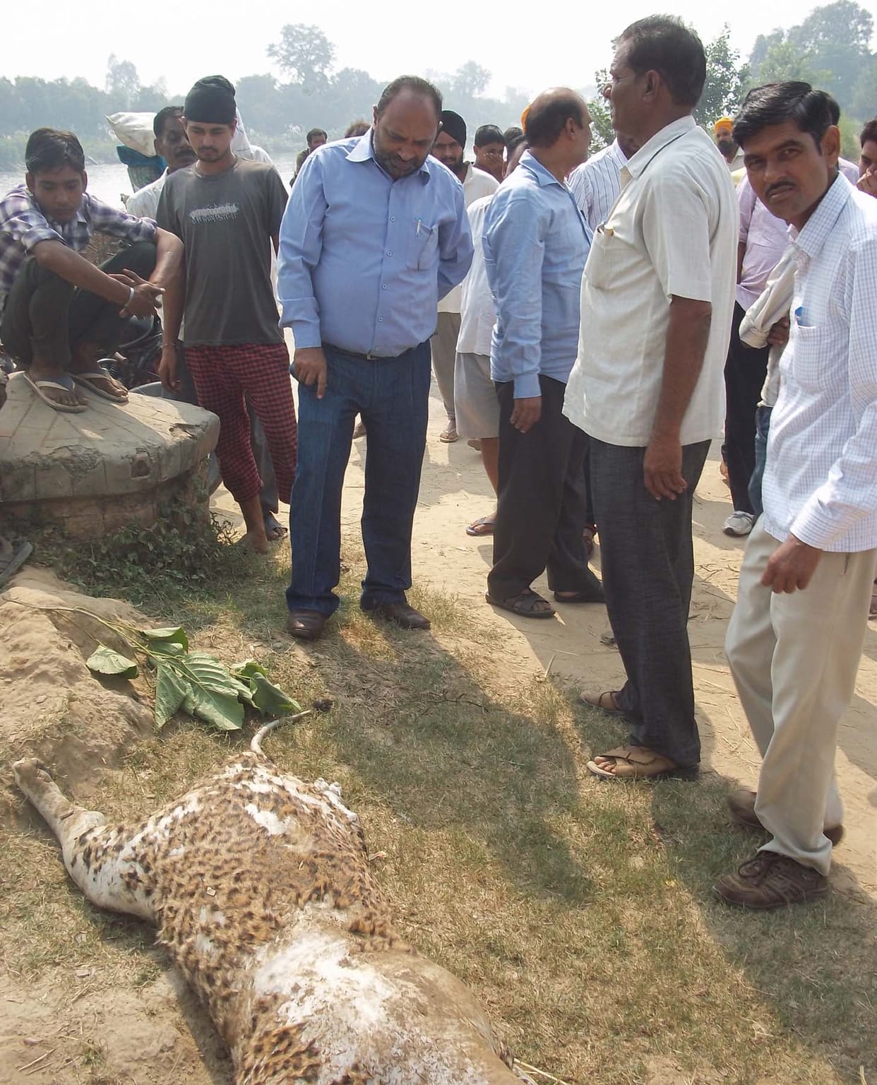 Leopard Sharda's body found in canal