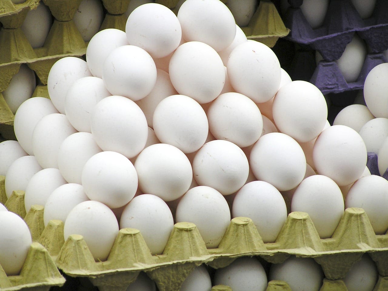 best tips of recognising plastic egg