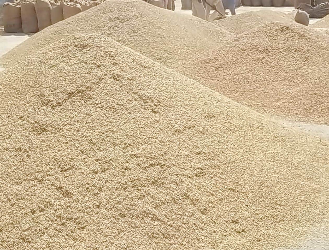 Identification of plastic rice