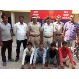 animal, thief, crime, rewari, police