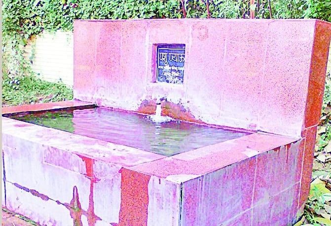 Water is precious, who explained to council