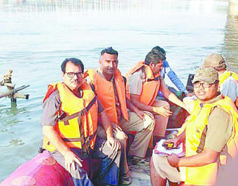 Extended kin in the Ganges Dolphin