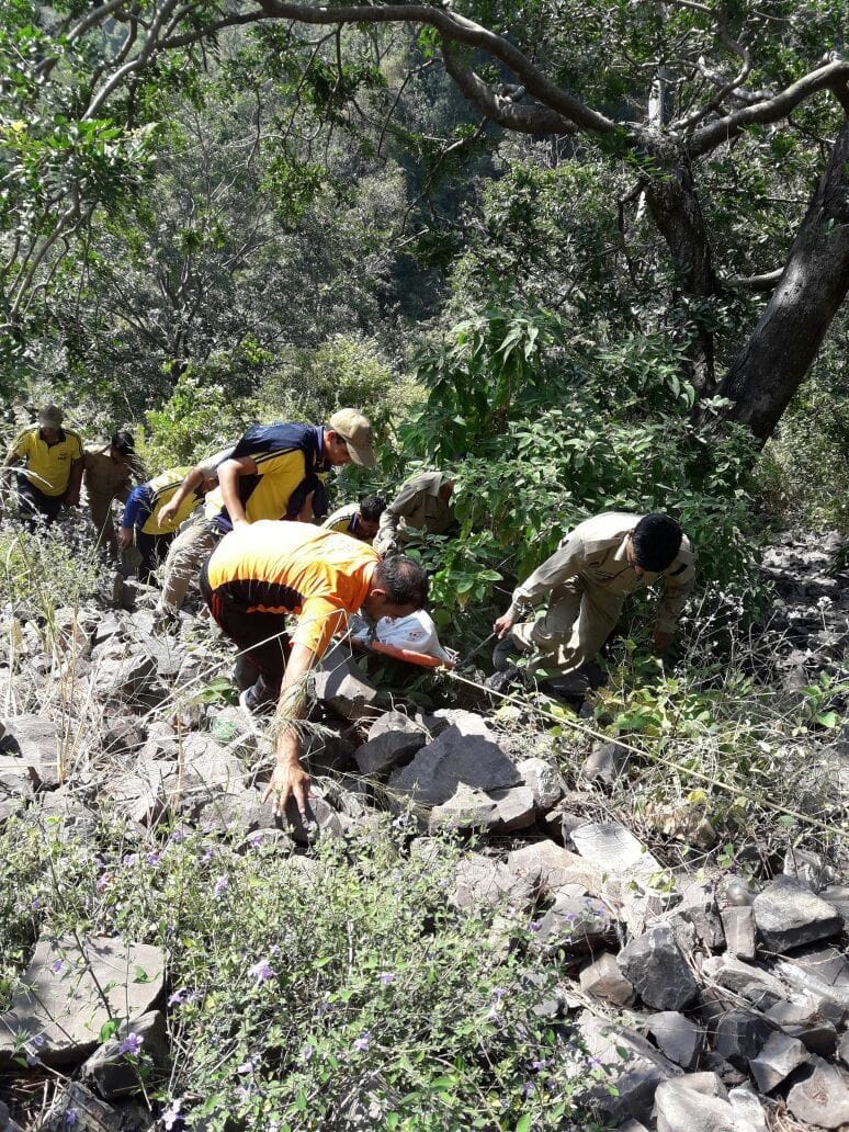 four passenger death in car accident