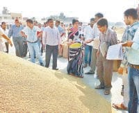 jind, harayana, farmars, unhappy, protest, in mandi,  harayana