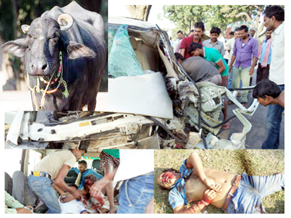 driver of big crash I blink one death and seven injured
