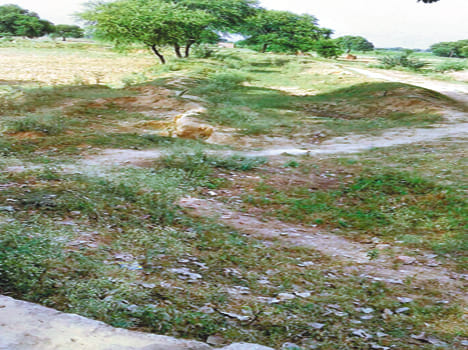 Plewa near the water at the time of sowing