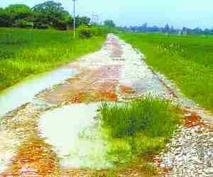 No work in 986 Gram Panchayat