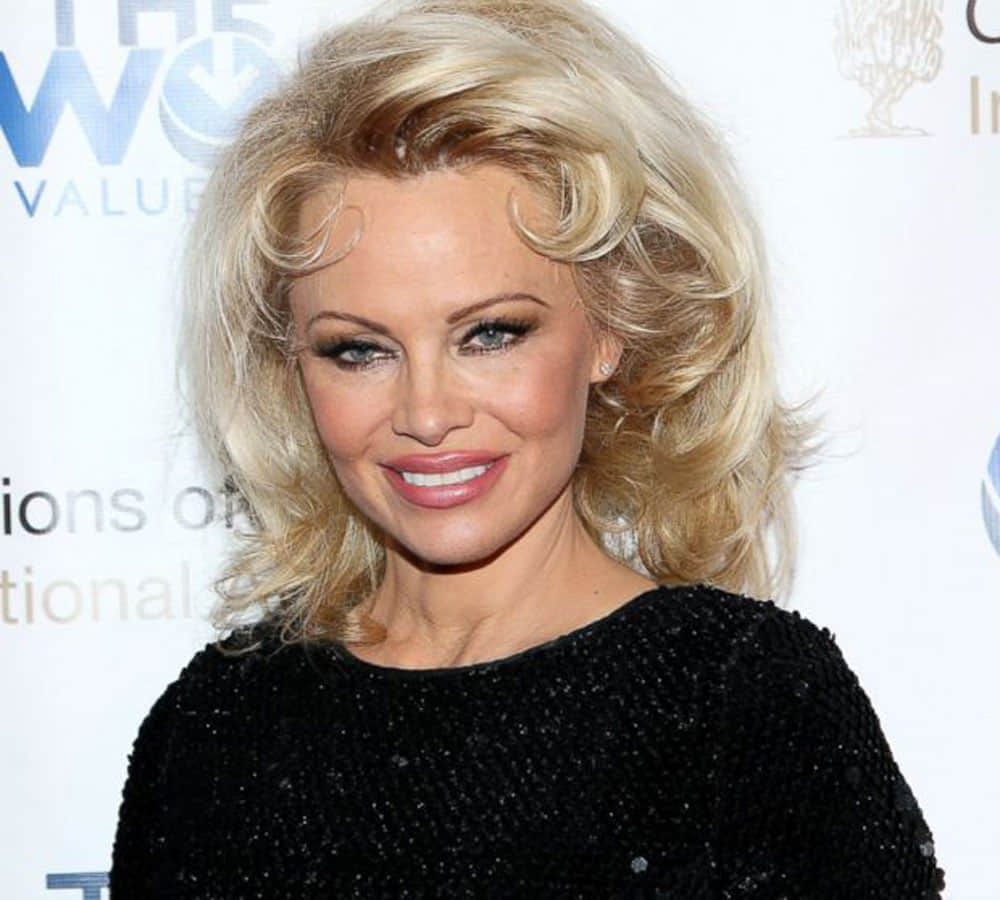 pamela anderson written a letter to pm narendra modi
