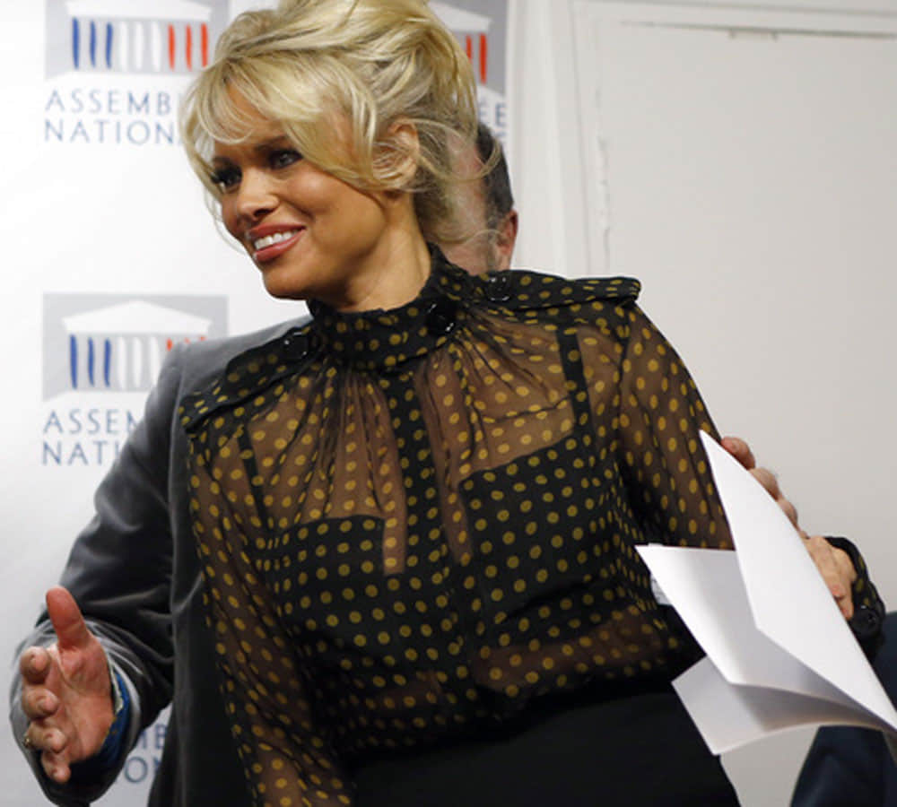 bigg boss ex contestant pamela anderson marries 5th times