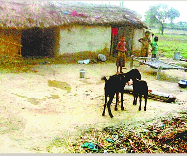  varun gandhi to give home to poors.