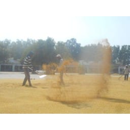 dhan khareed break, farrem angree, jind