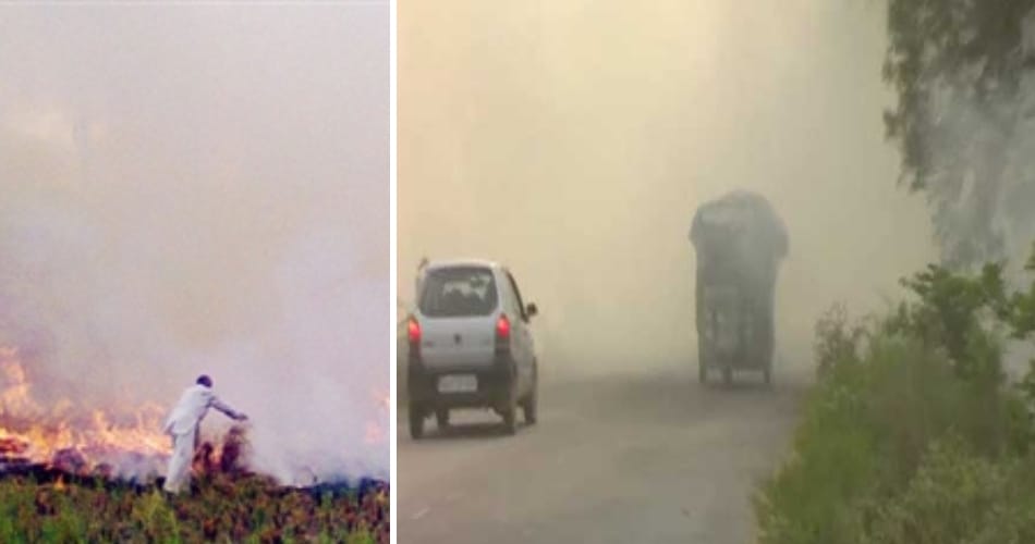 'Life' is being burned in field