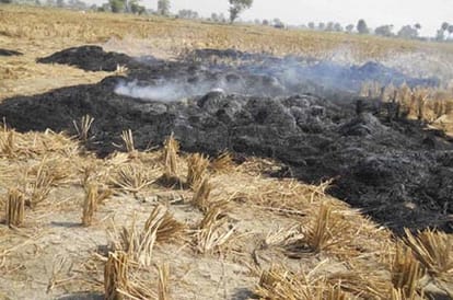Farmers used, burn Parali, fog engulfed, the vehicle, Punjab news