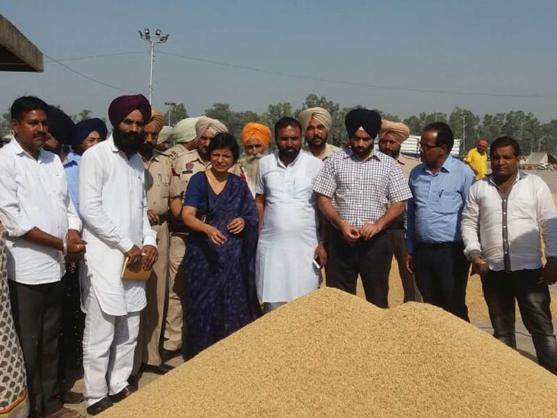 Principal Secretary, pivot grain market, paddy procurement arrangements tested, Sangrur