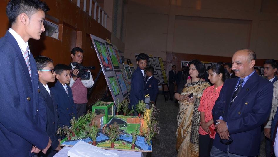 APS annual festival